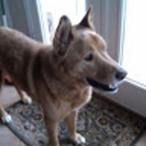 Meet your Posher, Chrystal